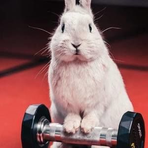 Meet your Posher, Trey